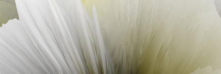 Abstract fantasy background. 3d illustration.