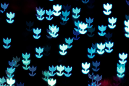 flower blur lightingの写真素材