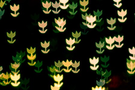 flower blur lightingの写真素材