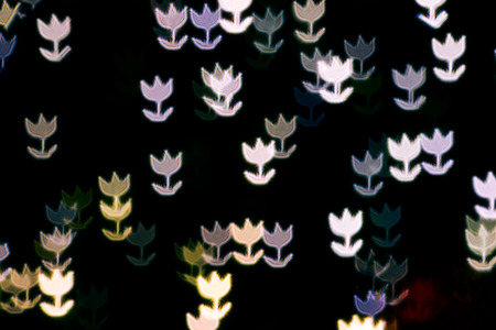 flower blur lightingの写真素材