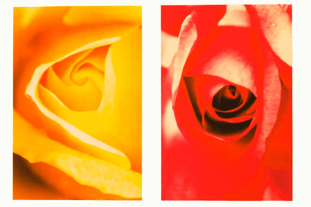 flower painting backgroundの写真素材