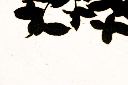 shadow of leaves on the floorの写真素材