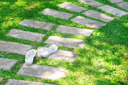 shoe on gray walk way brick in public gardenの写真素材