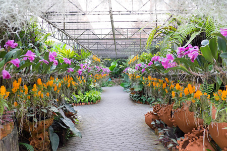 flora house in public gardenの写真素材