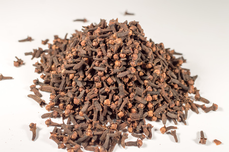 ceylon Cloves closeup on a white backgroundの写真素材