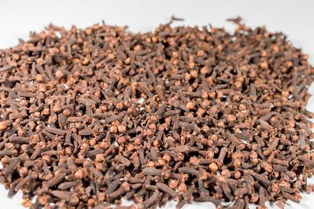 ceylon Cloves closeup on a white backgroundの写真素材