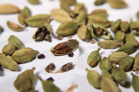 cardamom an cloves close up on a white backgroundの写真素材