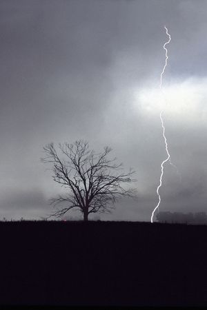 Lightning storm in the field, a bolt of lightening strikes near a tree.の写真素材