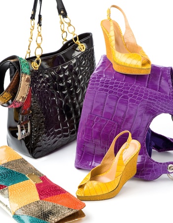 Snake leather fashion accesories still life composition on white background の写真素材