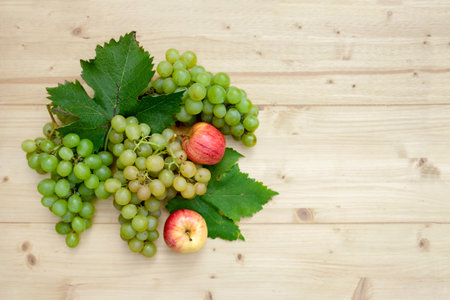 Fresh autumn fruit on rustic light wooden backgroundの写真素材