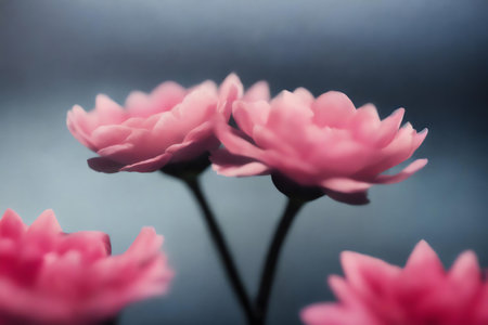 Closeup of pink flowers with filter effect retro vintage style and soft focusの素材