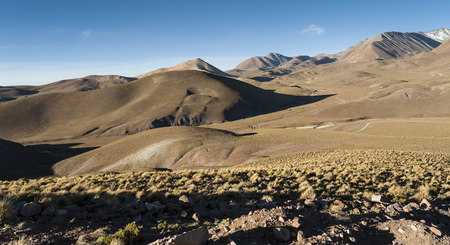 Lagoon - Bolivia, South Americaの写真素材
