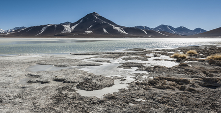 Laguna Blanca (White lagoon) and Licancabur volcano, Bolivia. Beautiful bolivian landscape.の写真素材