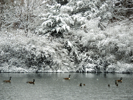 Snow Lakeの写真素材