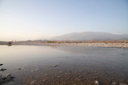 Calm river landscape with shrubs, trees and transparent waterの写真素材