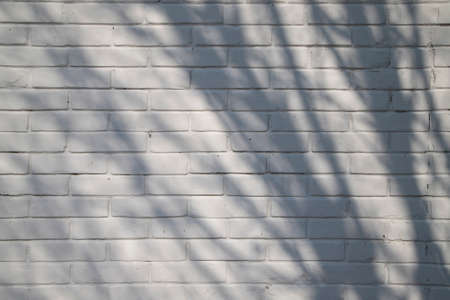 White abstract background texture with shadows.