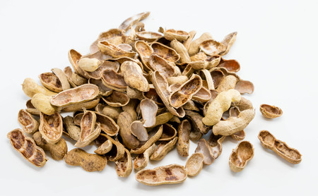 pile of empty nutshells on white