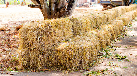 row of haystacks as seat on the field