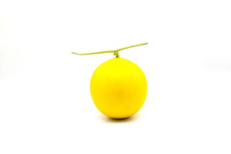 isolated round yellow cantaloupe on white backgroundの写真素材