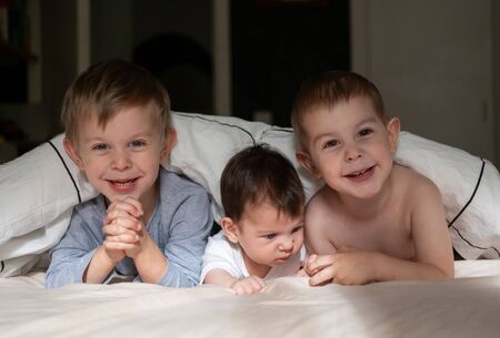Two toddler brothers and and newborn little baby sister lying in bed and smilingの写真素材