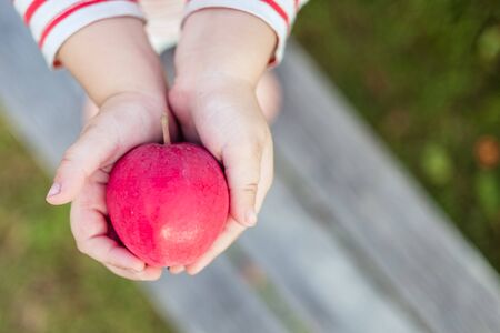 Kids hands holding a red apple outdoors. Copy space blurred background
