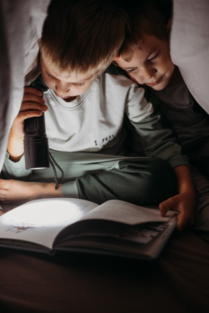 Two little brothers reading a book at night hiding under the blanketの写真素材