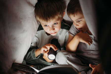 Two little brothers reading a book at night hiding under the blanketの写真素材