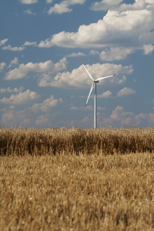 Wind power generator in a wheat field. Vertical shot with blue sky and clouds in the background.の写真素材