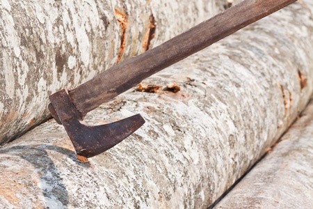 Axe in a beech log, horizontal shot.の写真素材
