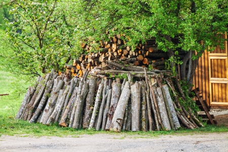 Backlog with beech wood for heatingの写真素材