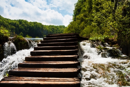 Wet wooden stairs with whitewater and forestの写真素材