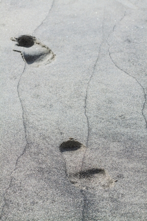 Two steps in the untouched beach sand after a lowtideの写真素材