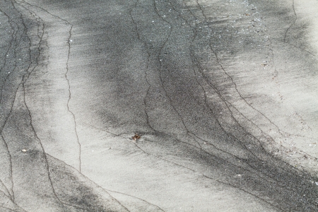 Untouched beach during a lowtideの写真素材