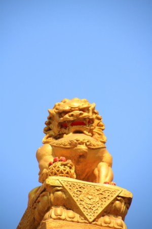china lion statueの写真素材