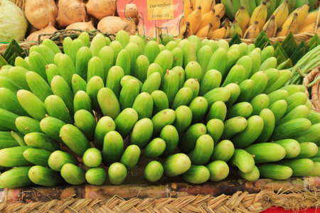 fresh cucumber in the basketの写真素材