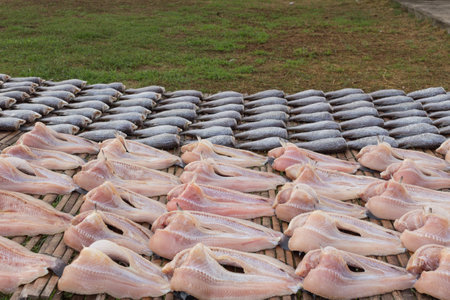 fresh prepare raw fish under the sun light