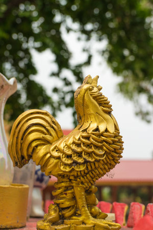 the chinese gold chicken statue under the sun lightの写真素材