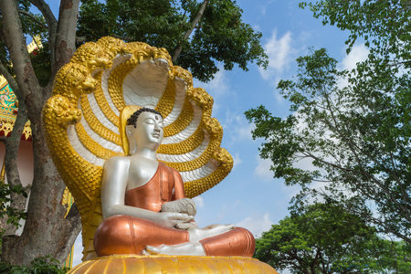 Buddha satue sitting with king of naga with tree and sky backgroundの写真素材