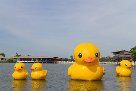Doll Family yellow ducks on the lakeの写真素材