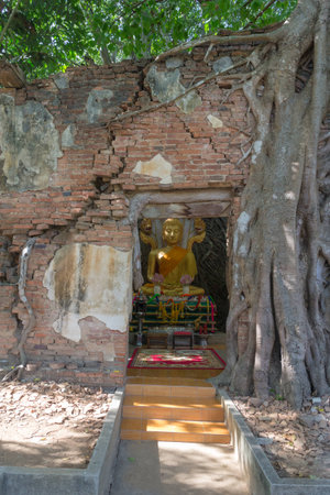 buddha statue in ancient temple under tree root at wat sanghatayの写真素材