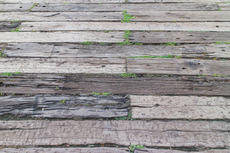 close up to wood for the  walkwayの写真素材