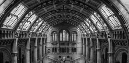 Interior of the Natural History Museum of London, United Kingdomのeditorial素材