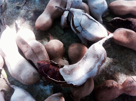 Tamarind can be used for many things, for example. The polishing silverware.