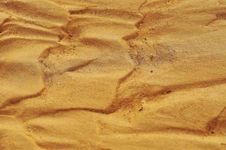 Sandy floor background.