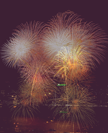 Fireworks for the celebration. Or New Year's Dayの写真素材