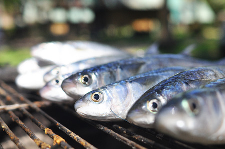 Fresh fish from Koh Changの写真素材