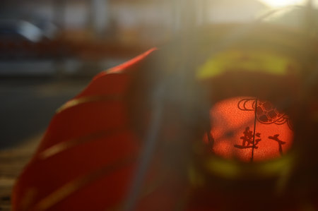 Chinese New Year lanterns in the park. Selective focus.