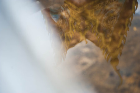 abstract blur background of water surface with bokeh defocused lights