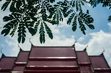 Thai temple roof with tree leaf and sky background, Thailand.の写真素材