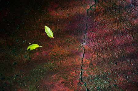green leaf on red cement wall background texture with grunge effect.